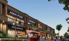 signature-global signum 89